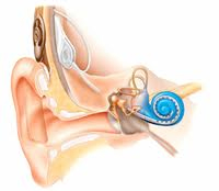 人工内耳手術